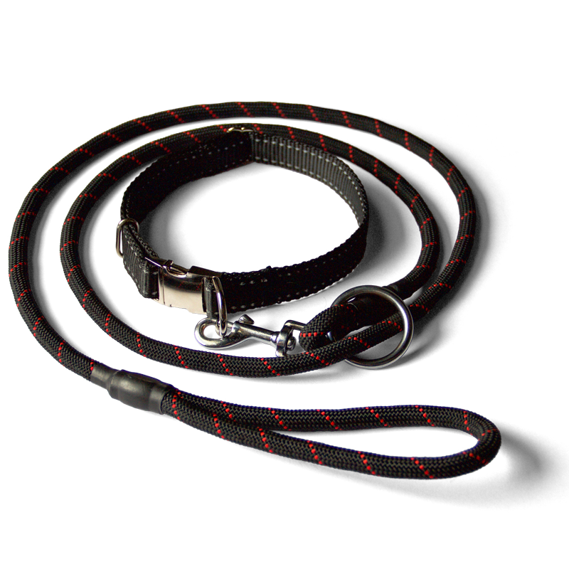 collar leash